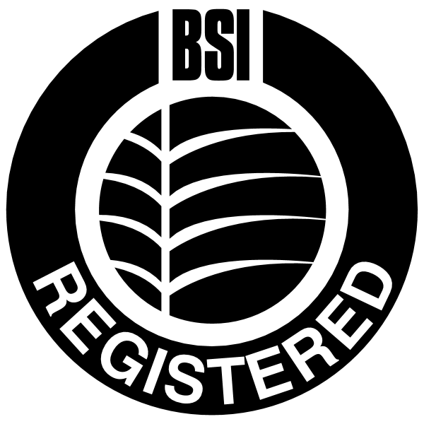 BSI 18761