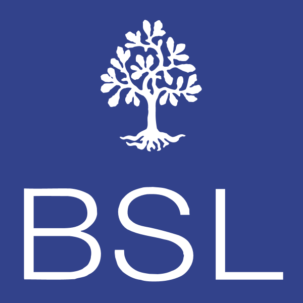 BSL 61996