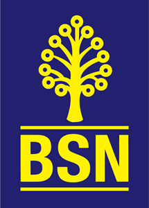 BSN Logo