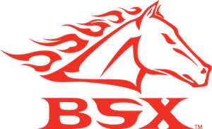 BSX Logo ,Logo , icon , SVG BSX Logo
