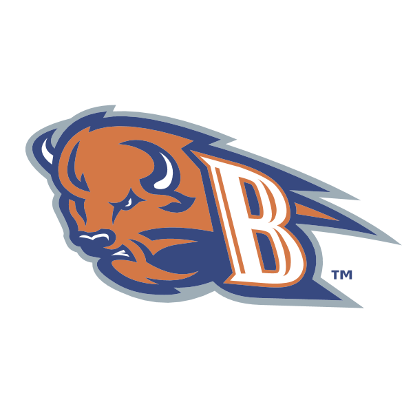 Bucknell Bison 76013