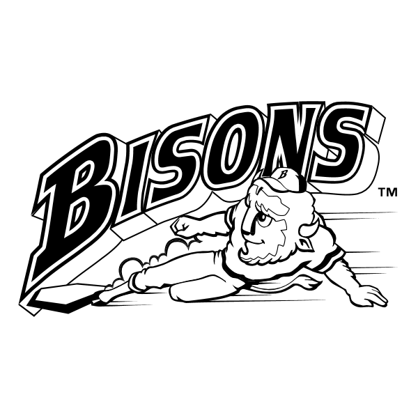 Buffalo Bisons 57968