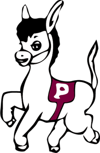 Burra Politecnica Logo ,Logo , icon , SVG Burra Politecnica Logo