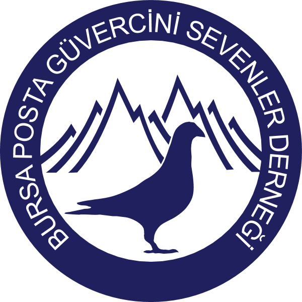 Bursa Posta Logo ,Logo , icon , SVG Bursa Posta Logo