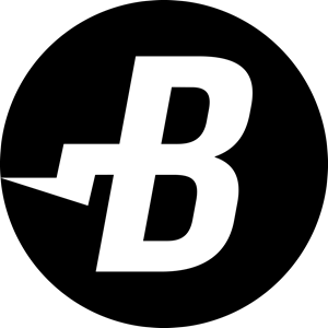 BurstCoin (BURST) Logo