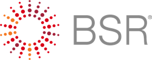 Business for Social Responsibility (BSR) Logo ,Logo , icon , SVG Business for Social Responsibility (BSR) Logo