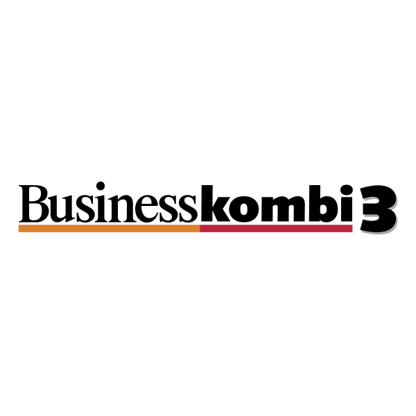 Business Kombi 3