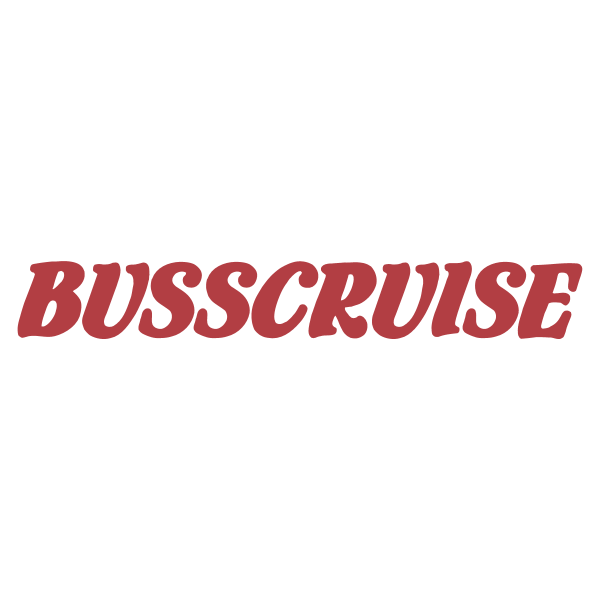 Busscruise 40193