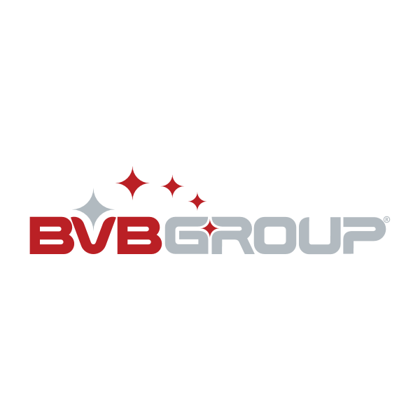 BVB Group Logo