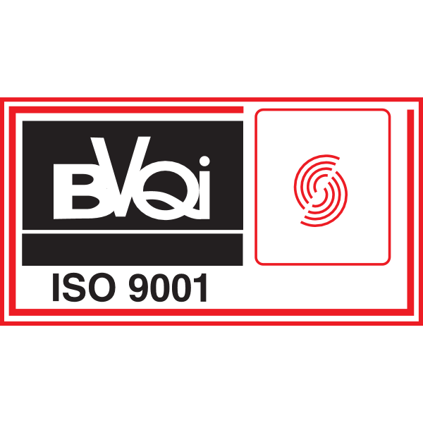 BVQI ISO 9001 S Logo ,Logo , icon , SVG BVQI ISO 9001 S Logo