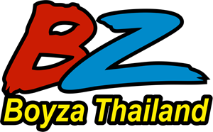 bz Logo
