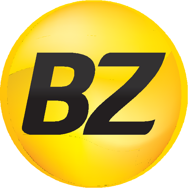 BZ Propaganda & Marketing Logo ,Logo , icon , SVG BZ Propaganda & Marketing Logo