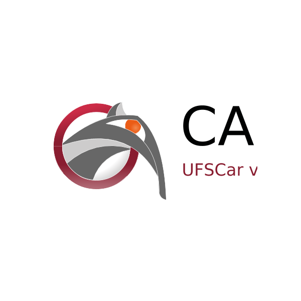 C.A.S.I. Logo
