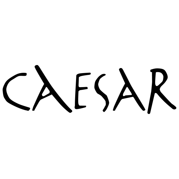 Caesar Groep