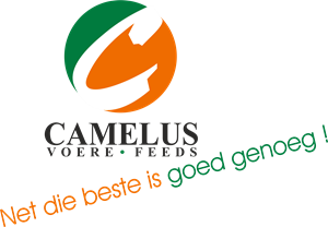 Camelius Logo