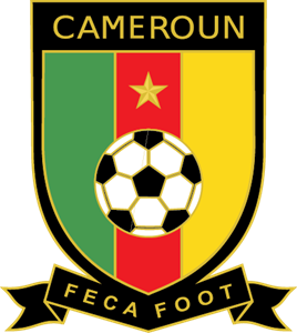 Cameroun 2010 Logo