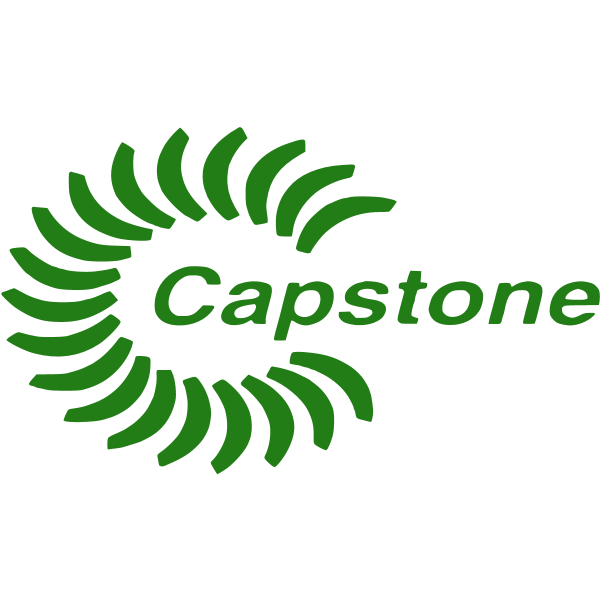 capstone ,Logo , icon , SVG capstone