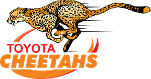 Cheetahs Rugby Logo ,Logo , icon , SVG Cheetahs Rugby Logo