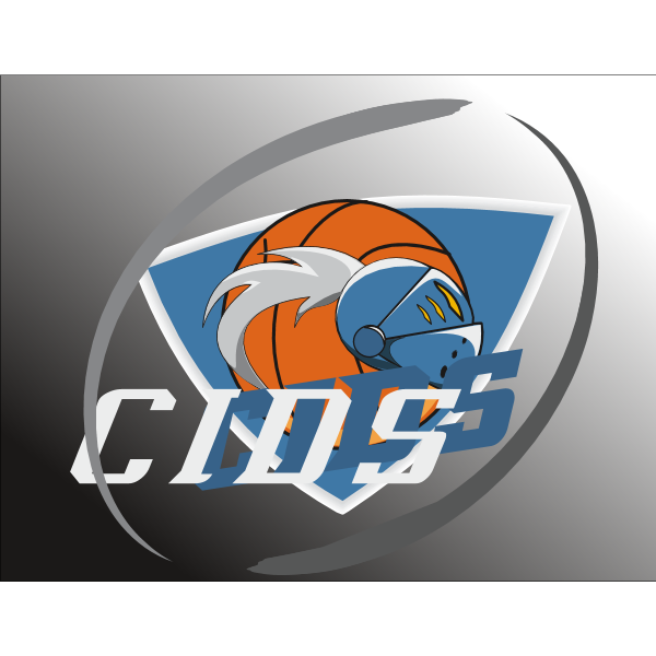 Cids Logo