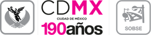 Ciudad de México CDMX Logo