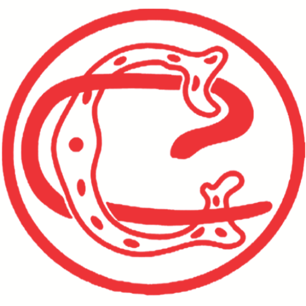 Club Union Logo