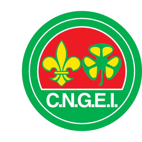 CNGEI (C.N.G.E.I.) Logo