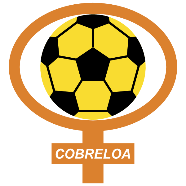 Cobreloa 7911