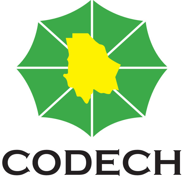 Codech Logo ,Logo , icon , SVG Codech Logo