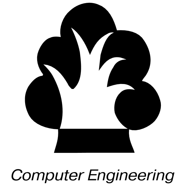 Computer Engineering 4237