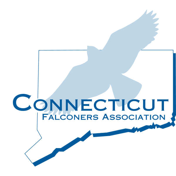 Connecticut Falconers Association Logo ,Logo , icon , SVG Connecticut Falconers Association Logo