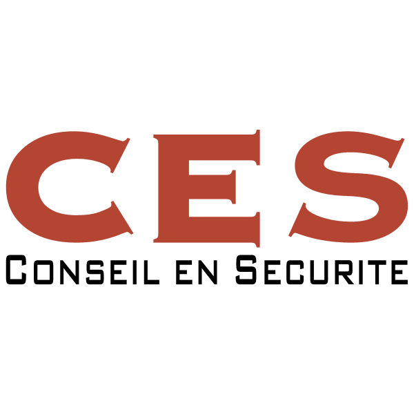 Conseil En Securite 1271