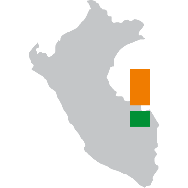 Consejo Interregional Amazonico Logo
