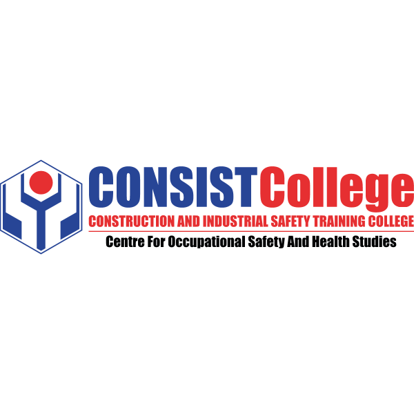 CONSIST College Logo