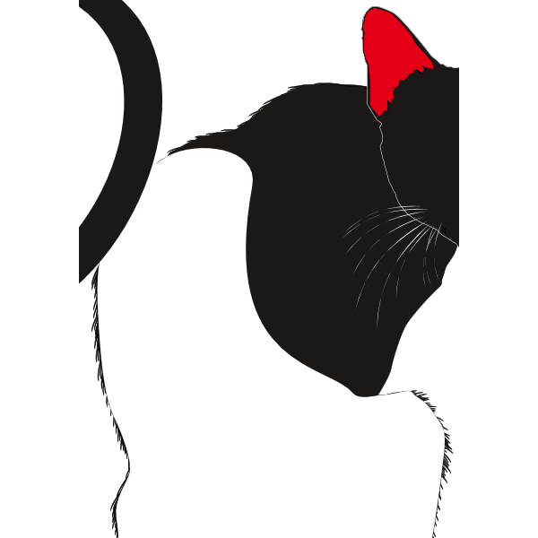Copy Cat Samsun Logo ,Logo , icon , SVG Copy Cat Samsun Logo