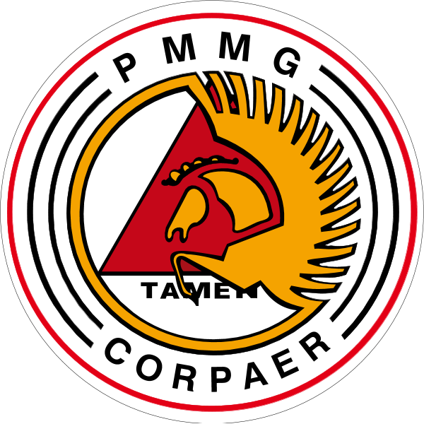Corpaer Logo ,Logo , icon , SVG Corpaer Logo