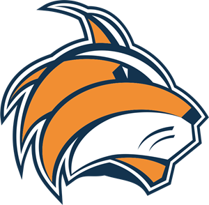 çukurova basketbol Logo ,Logo , icon , SVG çukurova basketbol Logo