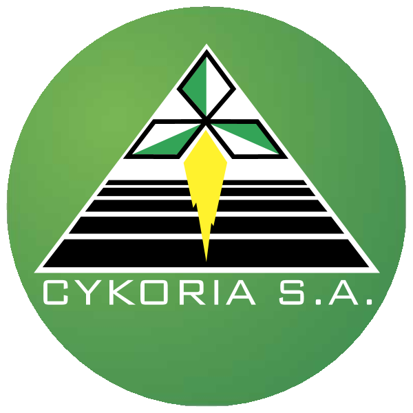 Cykoria