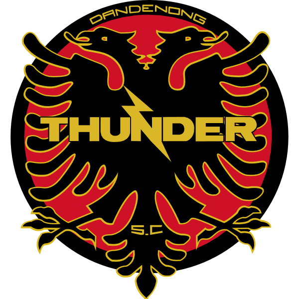 Dandenong Thunder SC Logo ,Logo , icon , SVG Dandenong Thunder SC Logo