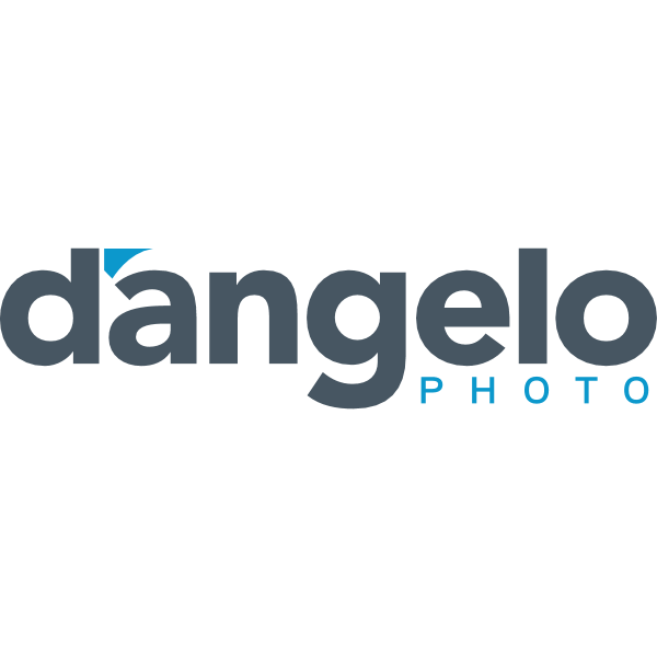 D’Angelo Photo Logo