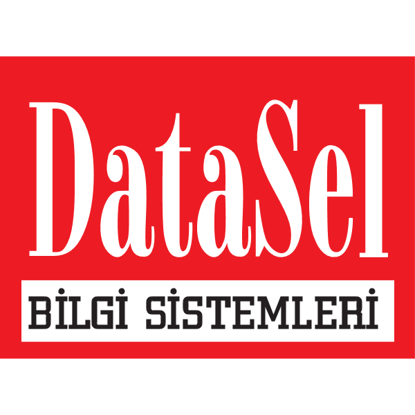 DataSel Bilgi Sistemleri Logo