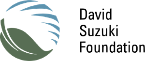 David Suzuki Foundation Logo ,Logo , icon , SVG David Suzuki Foundation Logo