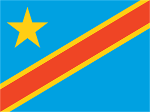 Democratic Republic of the Congo Flag Logo