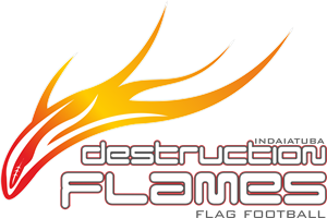 Destruction Flames Logo