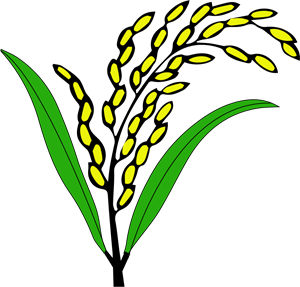 Dhaner Shish Logo ,Logo , icon , SVG Dhaner Shish Logo