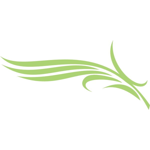 Diera Palm Logo ,Logo , icon , SVG Diera Palm Logo