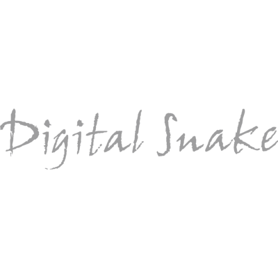Digital Snake Logo ,Logo , icon , SVG Digital Snake Logo