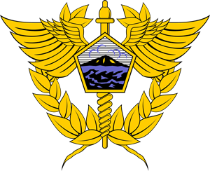 Direktorat Jenderal Bea dan Cukai Logo