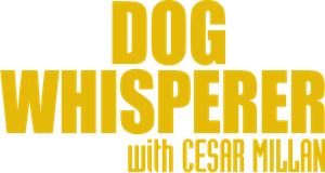 Dog Whisperer Logo