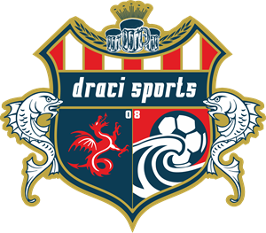 Draci Sports Soccer Logo