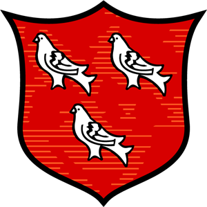 Dundalk FC (Old) Logo